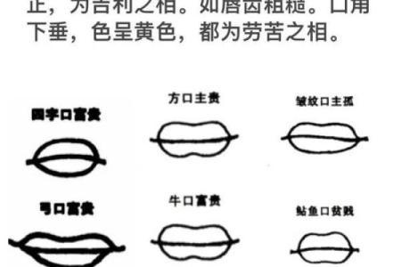 如何看女人面相