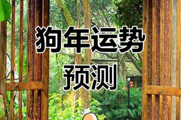 1982年属狗人2025年全年运势运程 1982年属狗人2025年运势详解全年运程大揭秘
