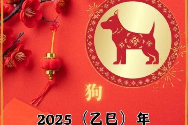 1994年属狗人2025年运势运程_1994年属狗人2025年运势解析事业财运健康全预测