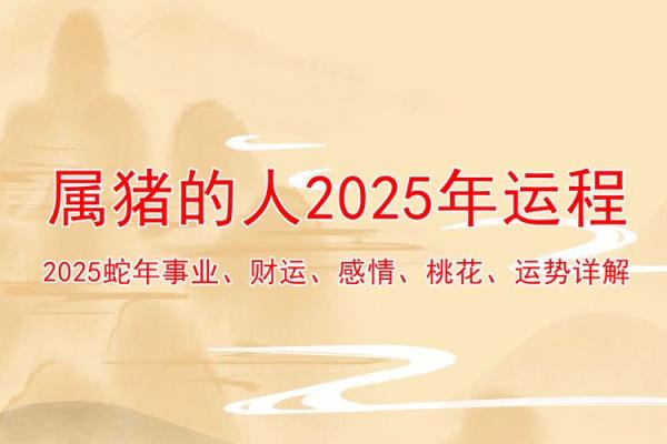 2025年属猪的运势怎么样_71年属猪人54岁最难熬