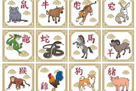 2006属狗男孩一生的命运 2006属狗几岁遇真爱