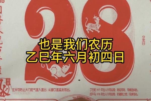 1993年农历6月28日出生 1993年农历6月28是什么星座