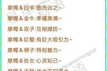 摩羯座女生适合什么星座男生_十二星座