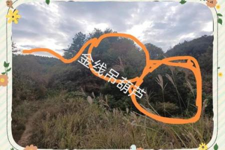 风水宝地下葬异象