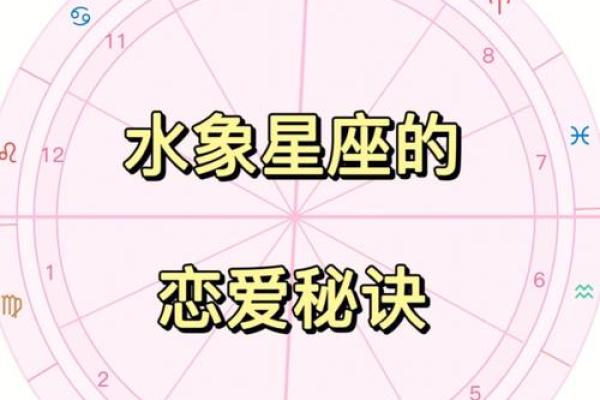 分析水象星座区别一览表