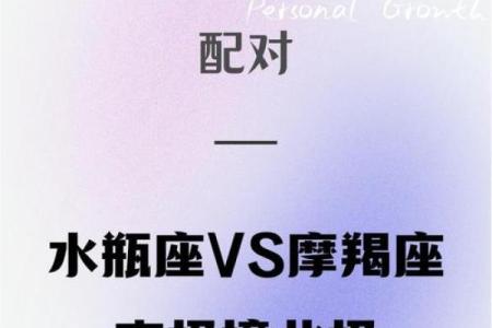 摩羯水瓶座适合和哪个星座谈恋爱男