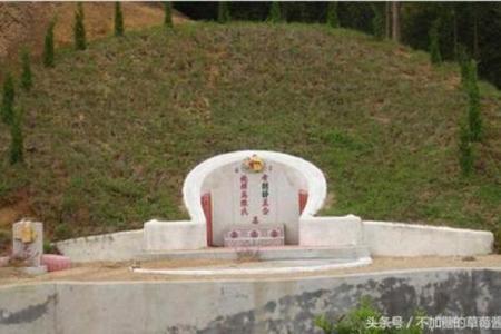 农村风水树有哪些禁忌及注意事项