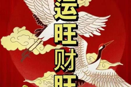 善用这六种风水秘术，让你家旺财旺，财源滚滚来！