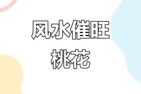 四大妙招，教你利用风水催桃花