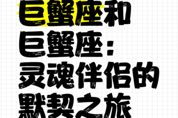 哪个星座适合灵魂伴侣