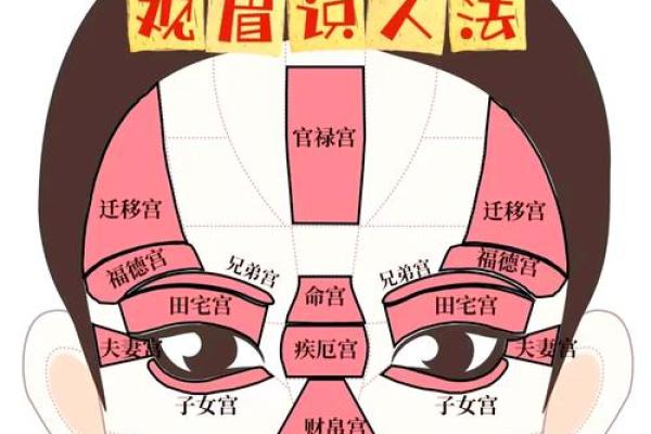 刮眉毛风水