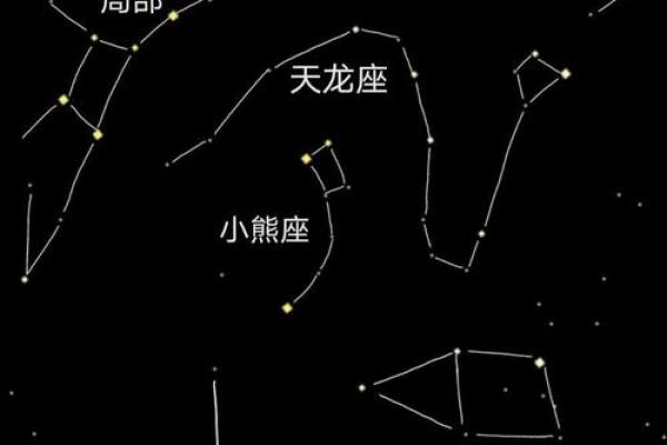 天龙座的星座传说及由来