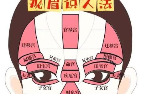刮眉毛风水