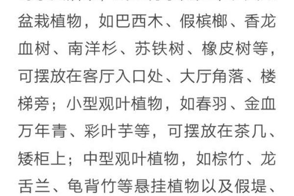 如何通过养植物改善室内风水