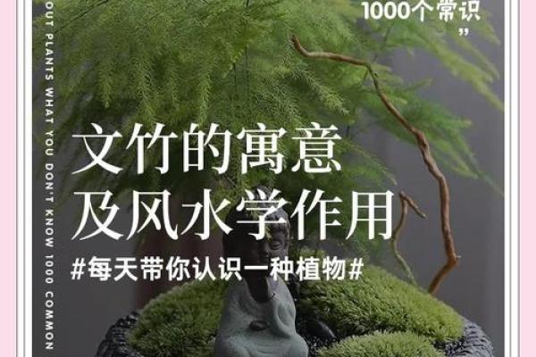 风水学中使用有缺口的茶具好不好