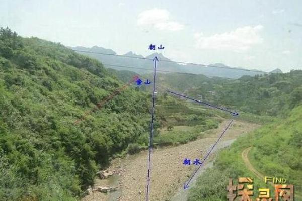 墓地怎样看阴宅风水发富还是发贵