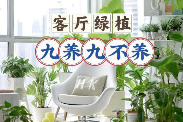 客厅要怎样摆设风水才会好关键在哪里