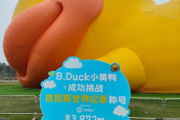 小黄鸭 风水