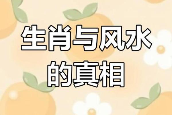 离婚风水命里有二婚的四个生肖有哪些