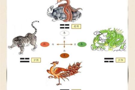 风水学：从入门到进阶，阴阳五行的相互关系与作用！