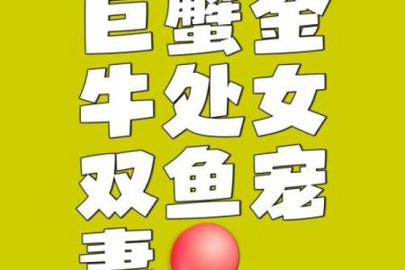 哪个星座适合带着老婆出嫁