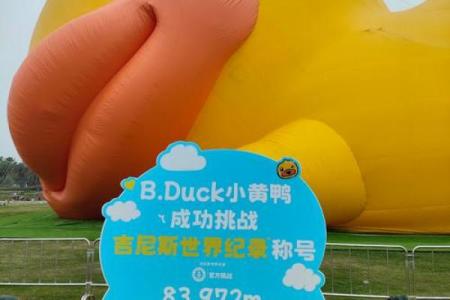 小黄鸭 风水