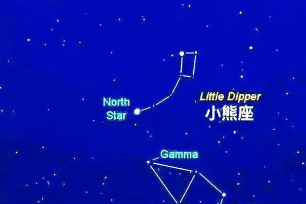 北极是指哪几个星座的