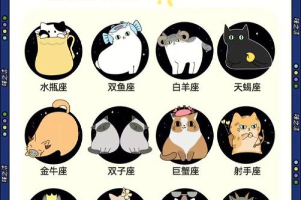 什么星座最适合猫咪