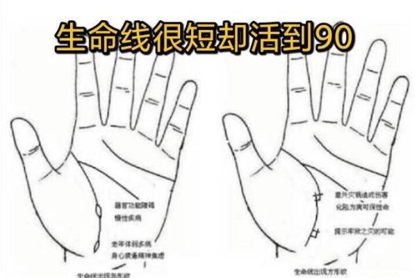风水生命线短的人寿命短吗有什么说法