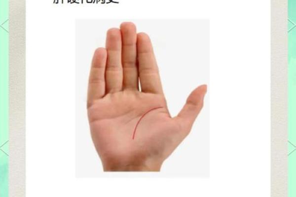 风水生命线短的人寿命短吗有什么说法