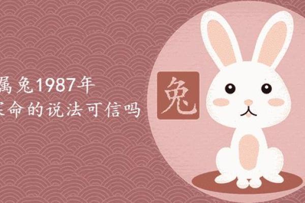 关于属兔购房的风水禁忌和宜忌你不能不知道