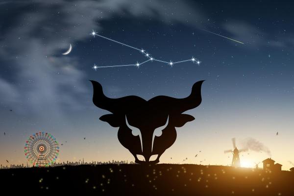 金牛座月亮星座运势