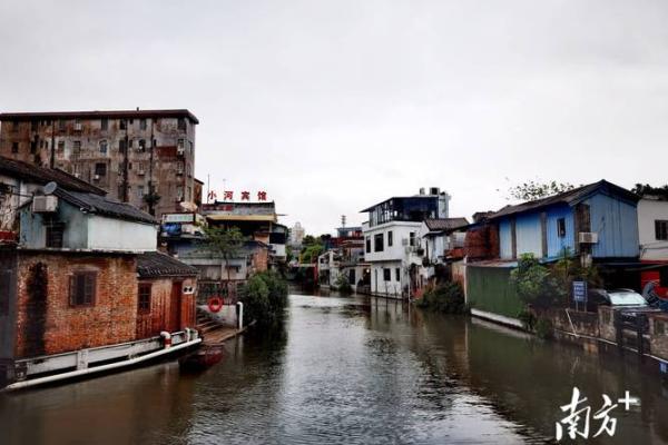 容桂 风水
