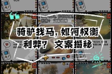哪个星座骑驴找马好