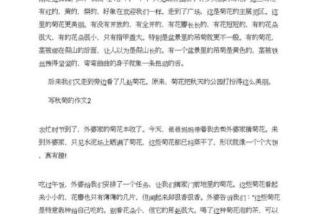 哪些星座喜欢看小作文写作