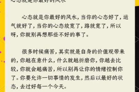风水的意思_你的状态就是更好的风水什么意思