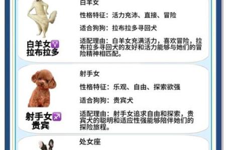 狗年运势旺到爆的星座