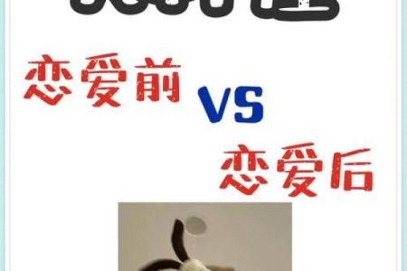 什么星座适合和天秤座谈恋爱呢