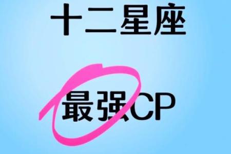 十二星座谁的三观最合适男生