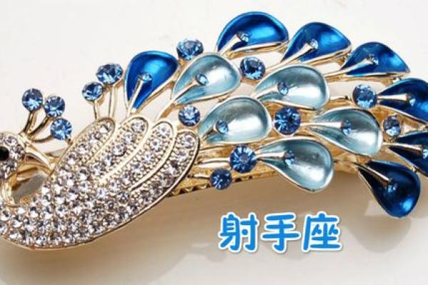 十二星座的专属头发和发夹怎么做