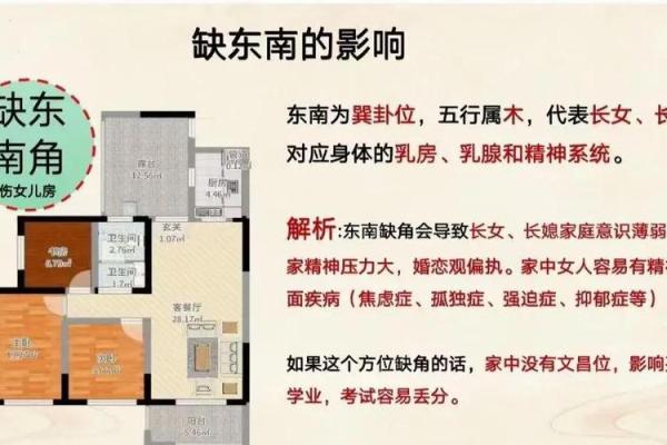 朝南房子东面有桥风水