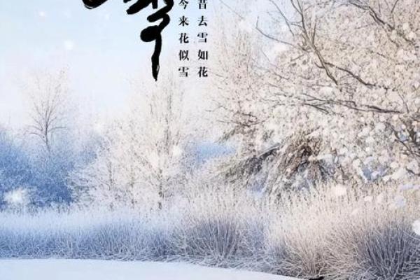 24节气之小雪风水，瑞雪兆丰年