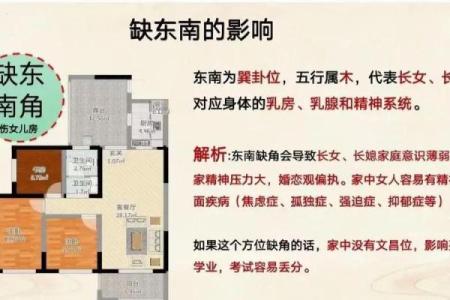 朝南房子东面有桥风水