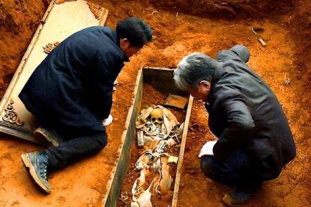 风水师：坟墓前最怕放什么东西