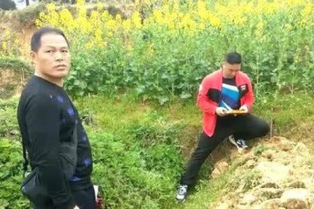 天星风水张子成风水