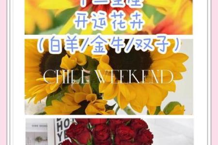 十二星座专属守护花都有哪些呢