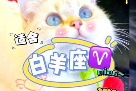 十二星座什么地方适合养猫