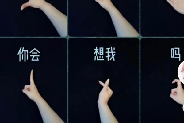 毕婚族，12星座的幸福与不幸