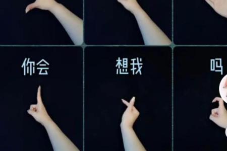 毕婚族，12星座的幸福与不幸