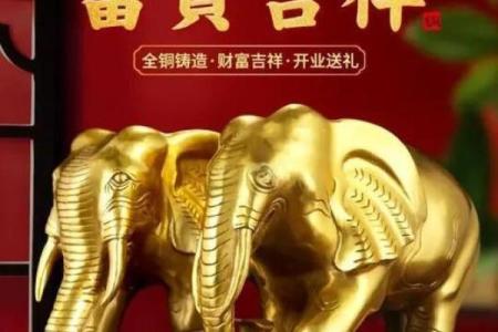 风水铜象摆放在什么位置
